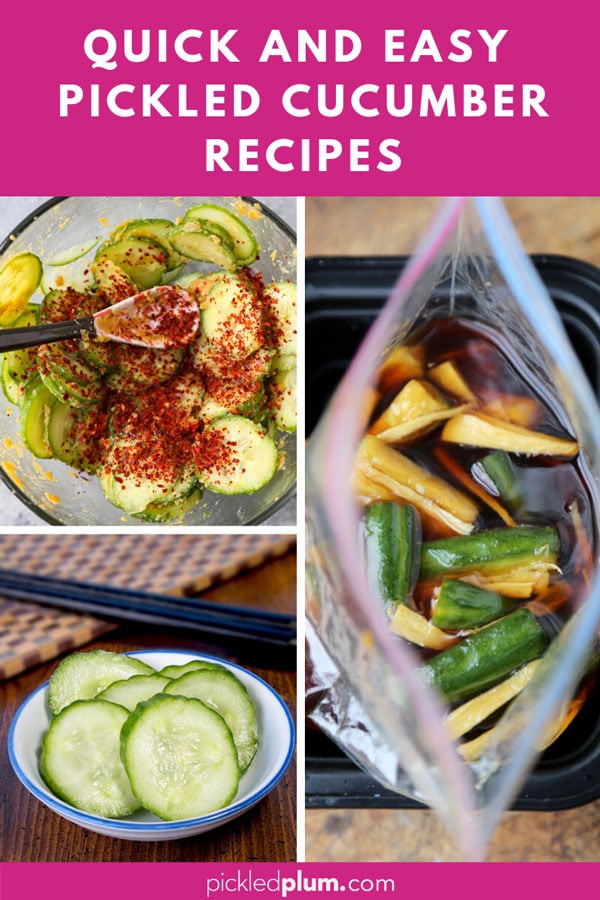 Quick and Easy Pickled Cucumber Recipes | Pickled Plum