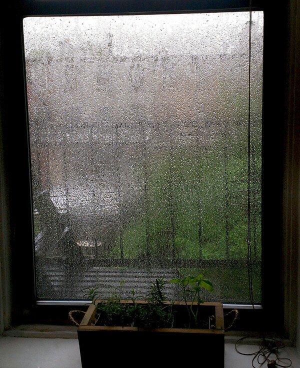 View from our kitchen window, it rained non-stop for a whole day.