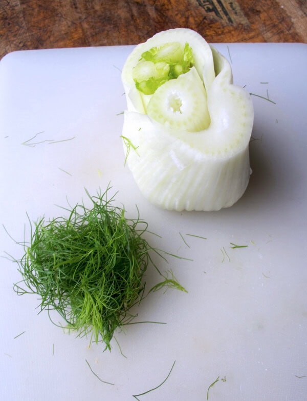 fennel bulb