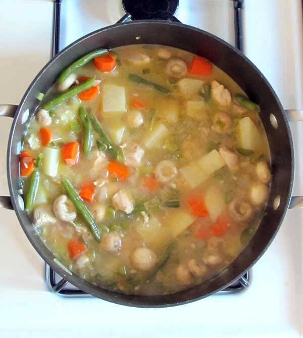 veggie chicken stew