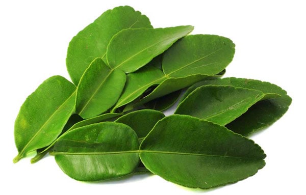 kaffir-lime-leaves