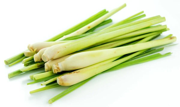 lemongrass