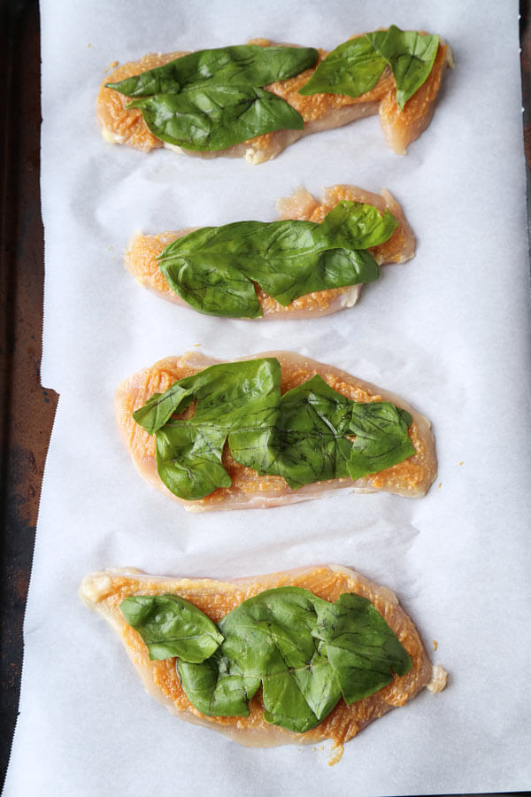 chicken-basil