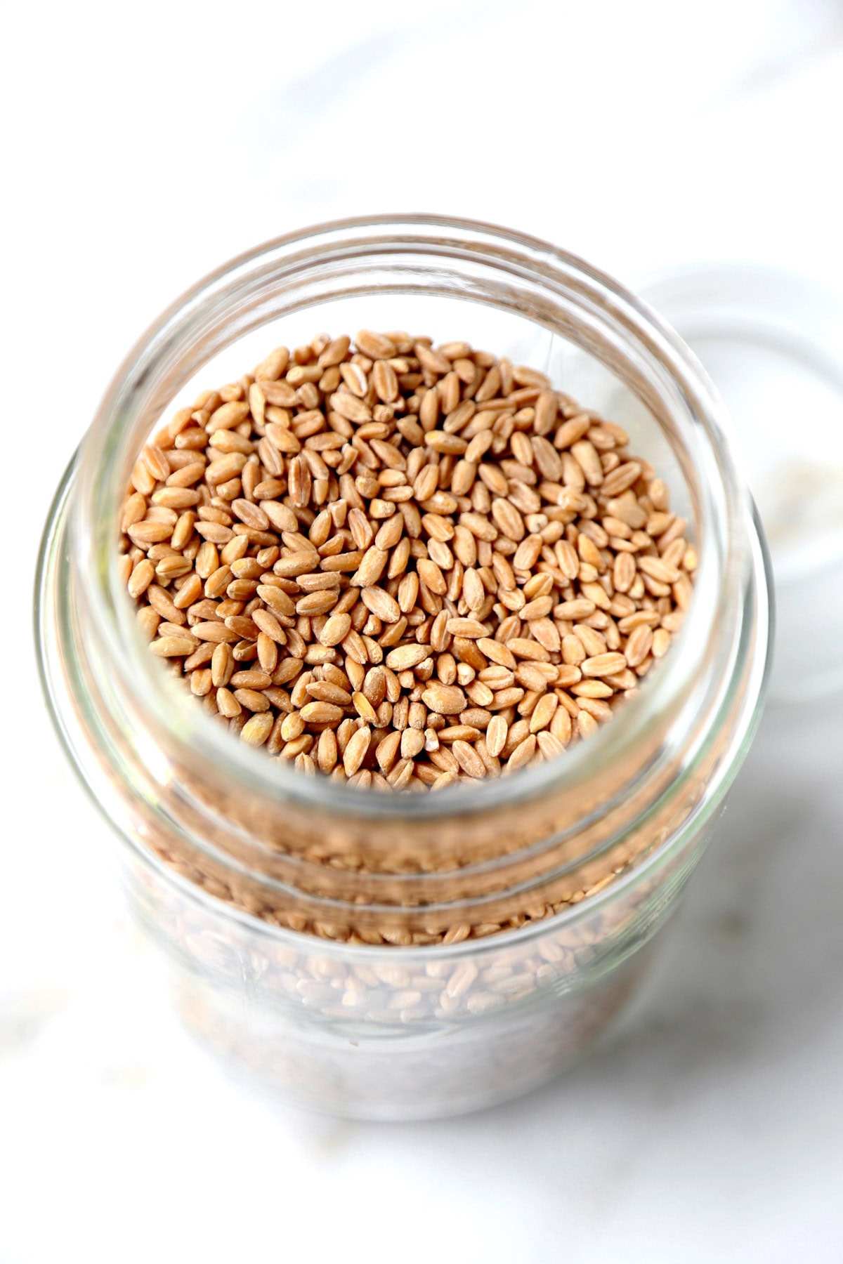 uncooked farro grains