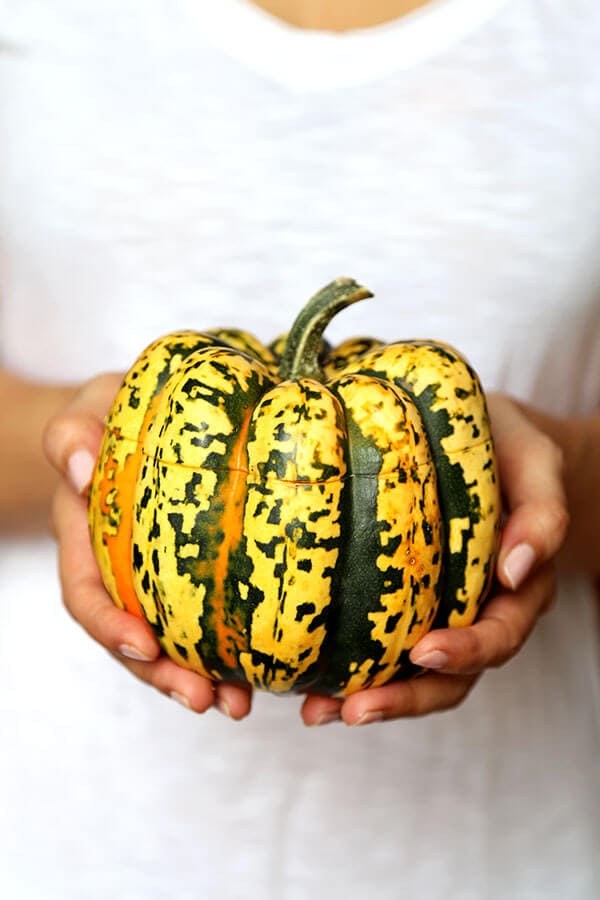 Cheesy Baked Acorn Squash - A delicious fall recipe your entirely family will love (and it looks so pretty!). Roasted acorn squash stuffed with cheese, baby kale and a creamy mushroom sauce. This is an easy dinner recipe, comfort food for the fall and winter. #fallrecipes #acornsquash #homemade #yummy | pickledplum.com