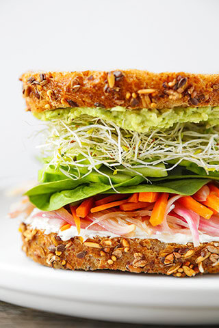 alfalfa sprouts sandwich