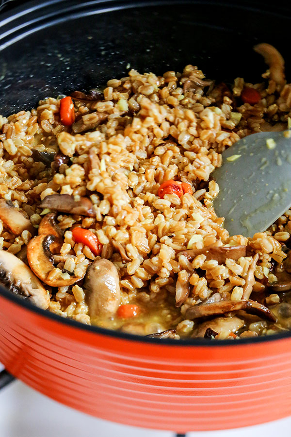 Farro Risotto - This rustic Farro Risotto With Sauteed Mushrooms and Fennel is winter comfort food minus the fat! vegan dinner recipe, plant based, vegetarian healthy recipe, blue zone | pickledplum.com