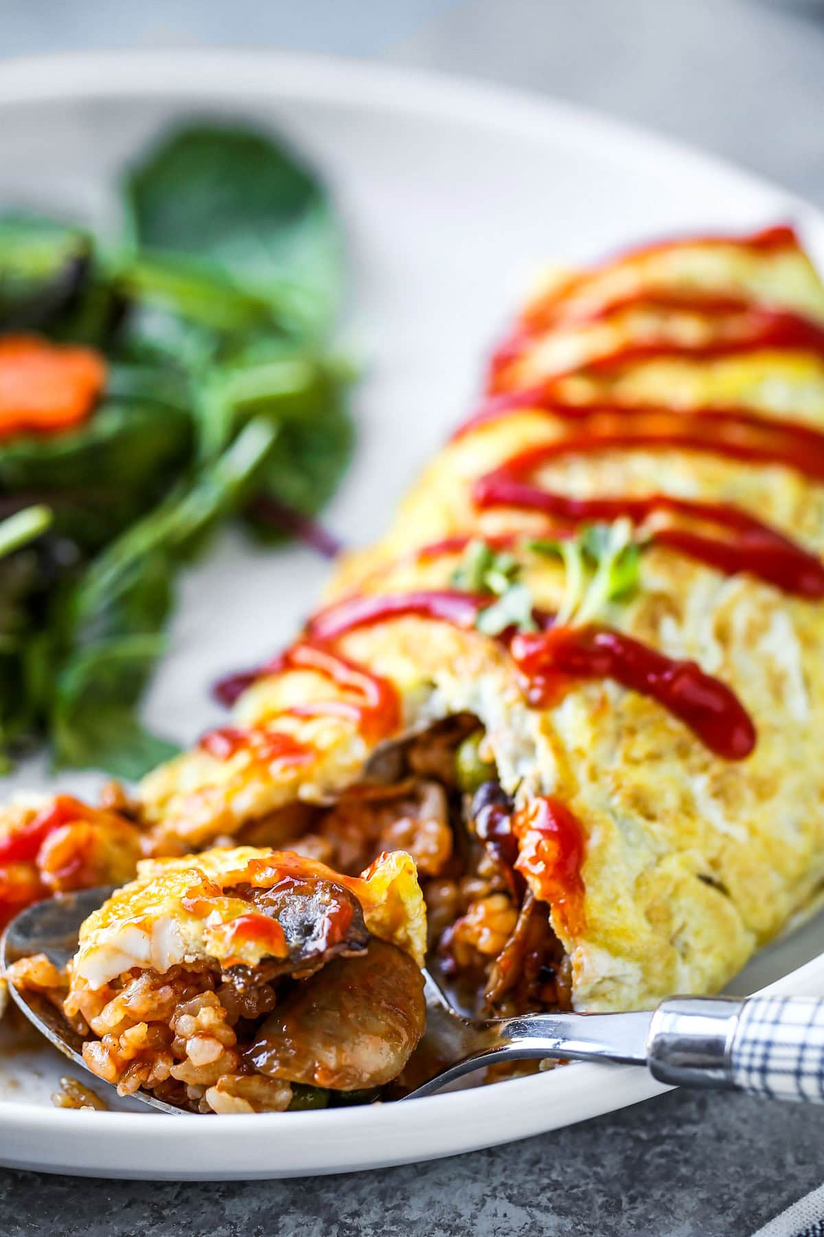 japanese rice and omelet