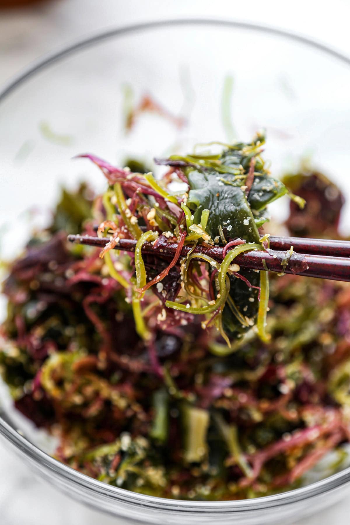Japanese seaweed salad (kaisou salada)