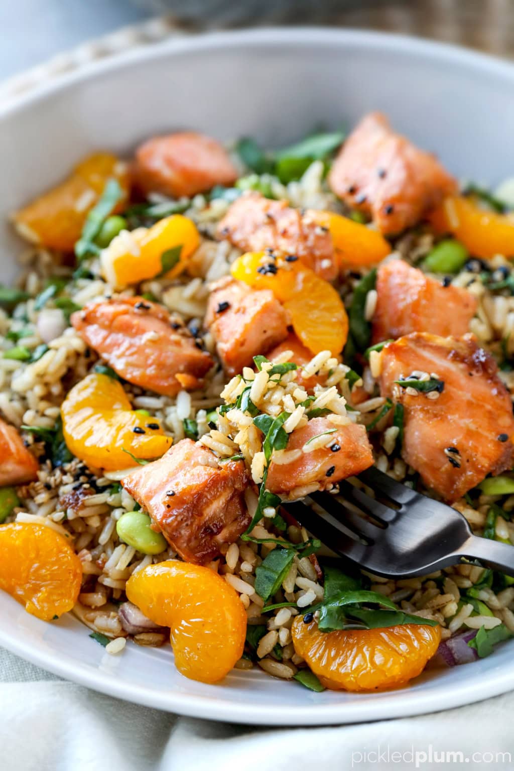 Warm Asian Salmon Salad | Pickled Plum
