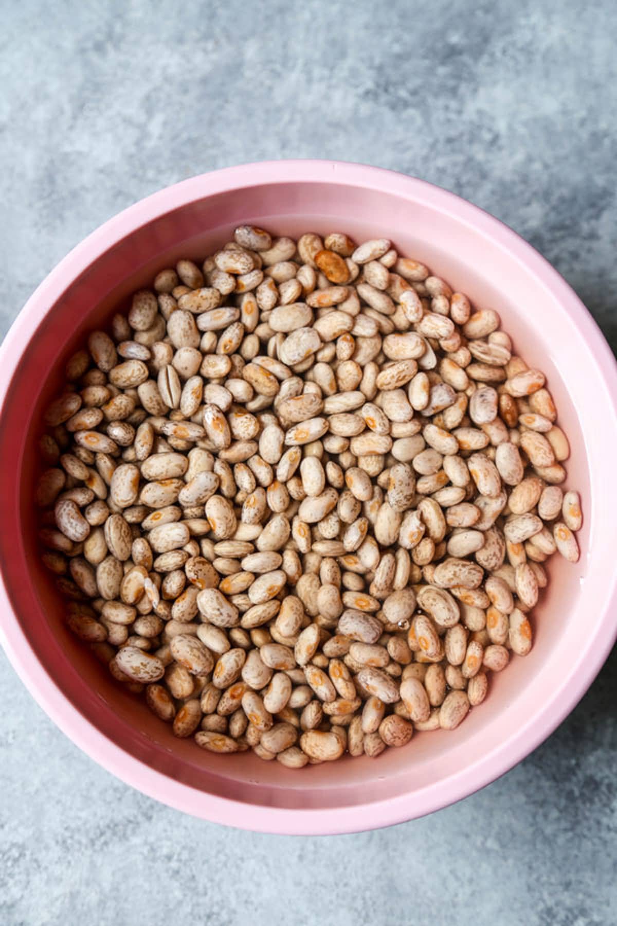 Need to Quick Soak Beans? Here's How!