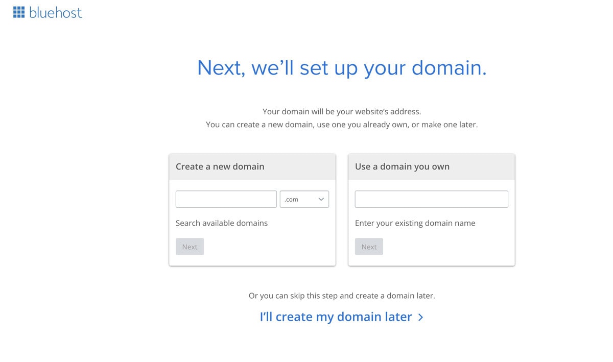 bluehost domain name