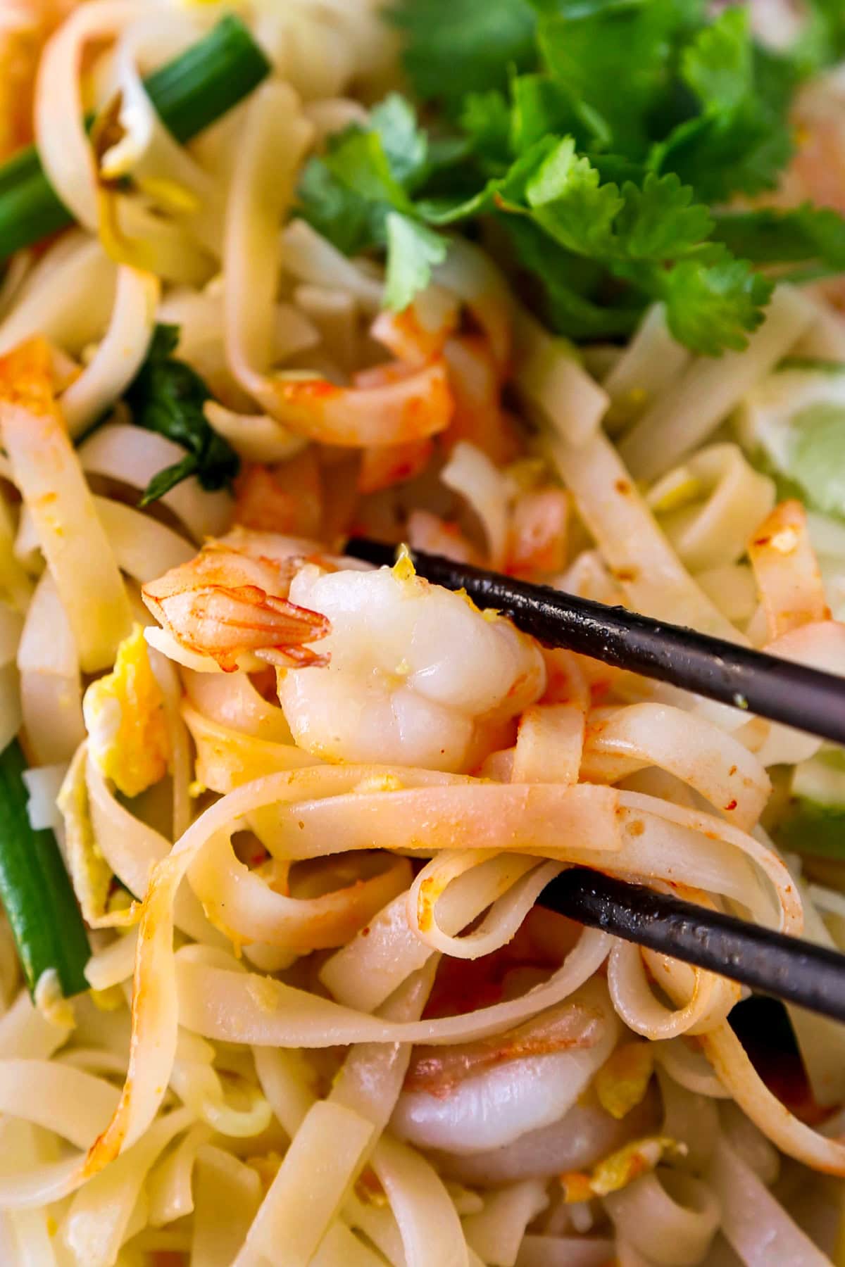 Shrimp Pad Thai