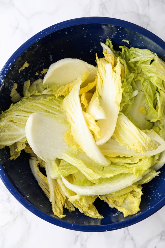 napa cabbage with salt