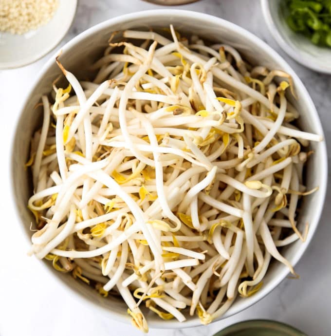 mung beans sprouts