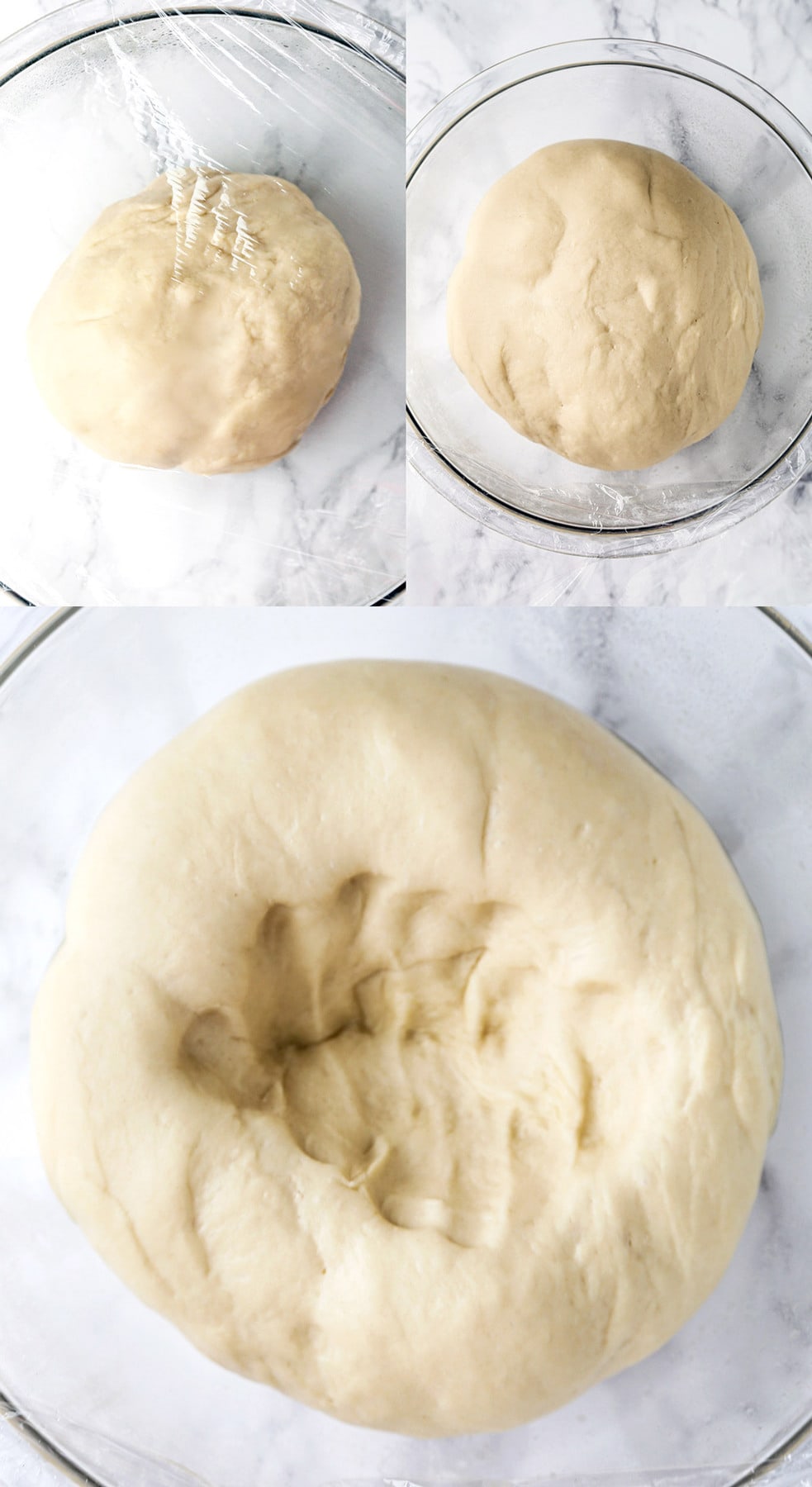 dough rising for Japanese milk bread (shokupan)