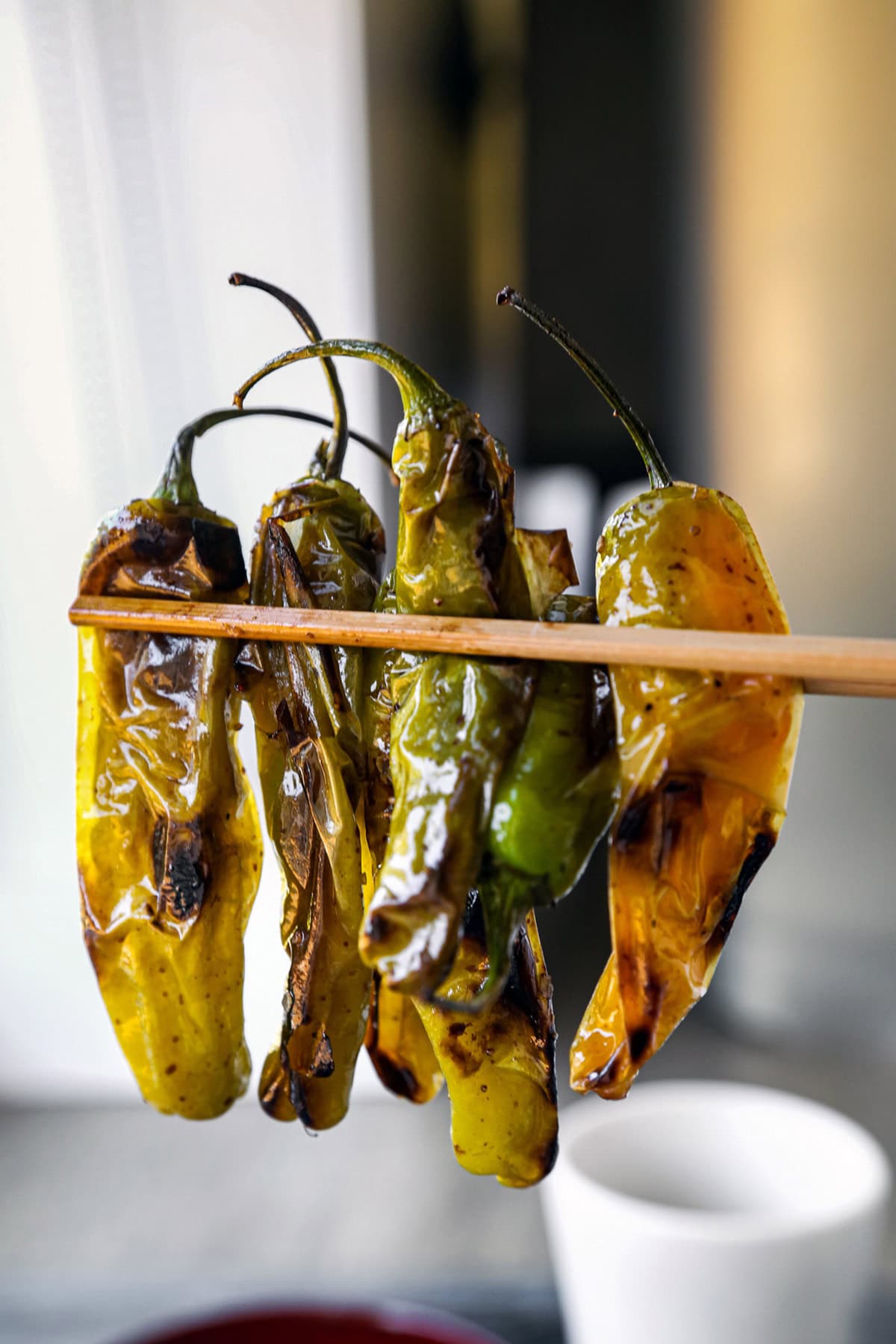 Blistered  Shishito Peppers