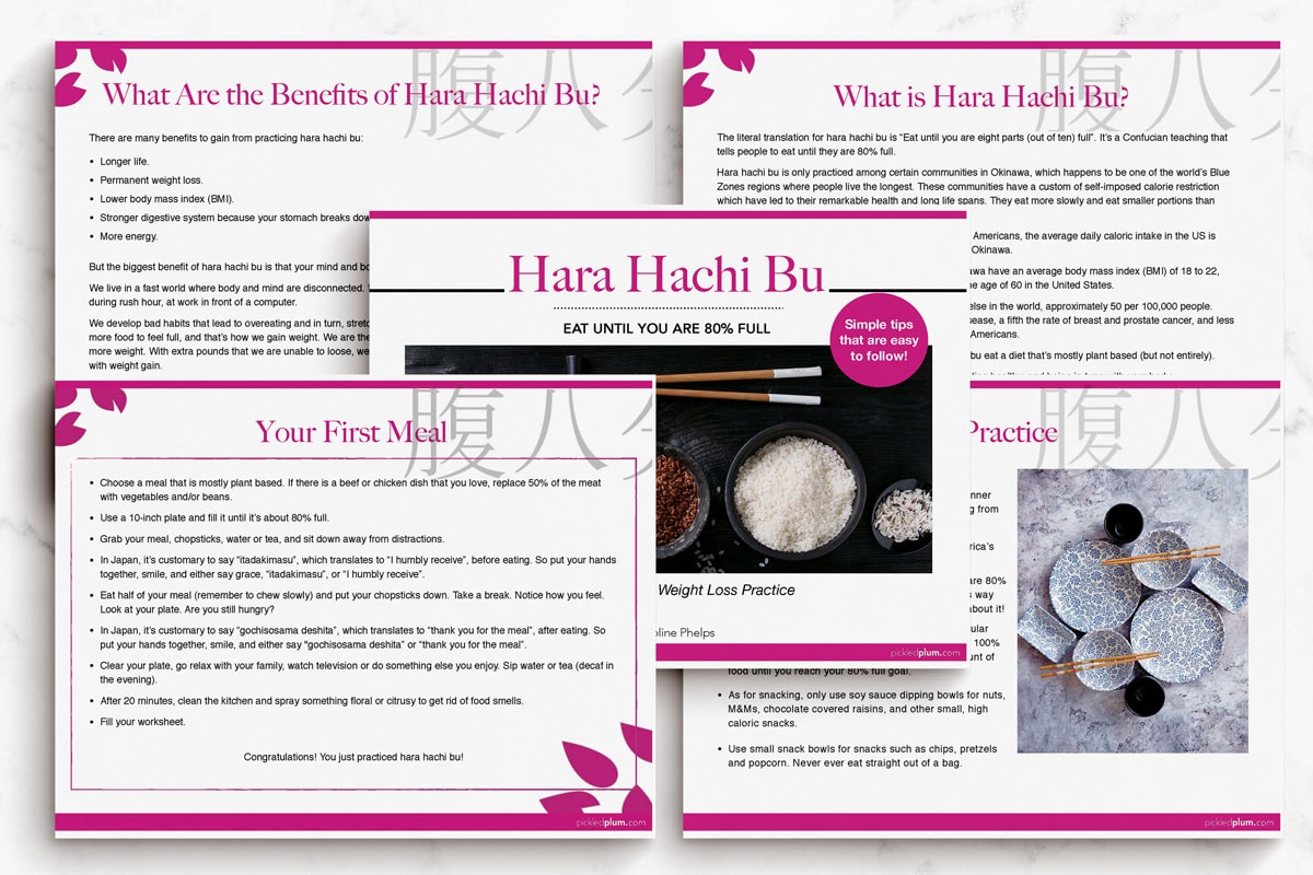 Mindful Eating Guide Pages for Hara Hachi Bu