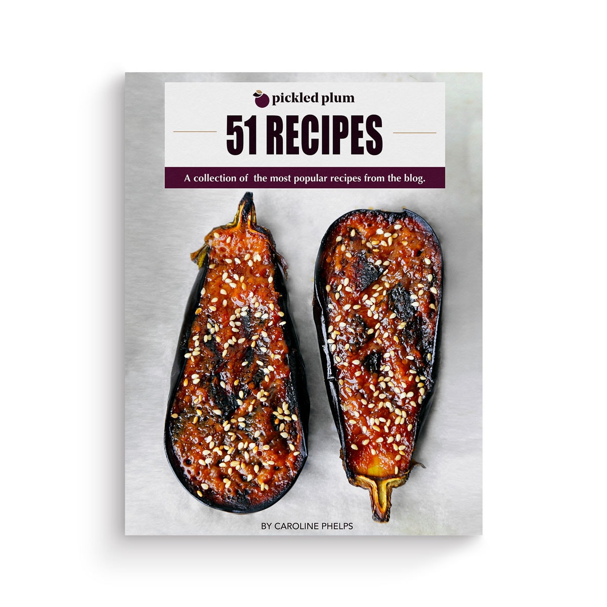 51 Recipes Cookbook