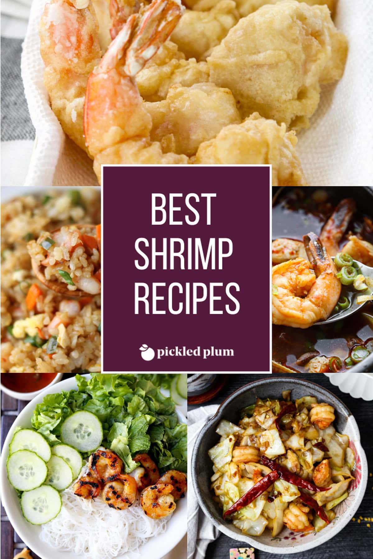 https://pickledplum.com/wp-content/uploads/2022/06/Best-Shrimp-Recipes-1200.jpg