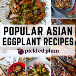 Asian eggplant recipes