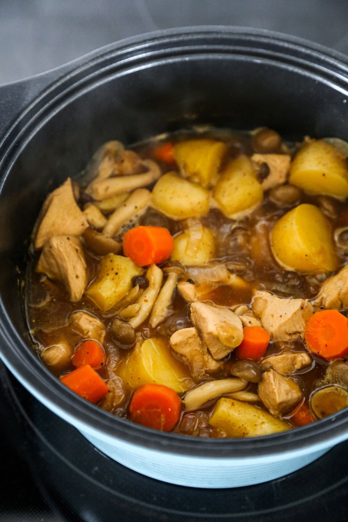 potato, carrot, mushroom, chicken stew