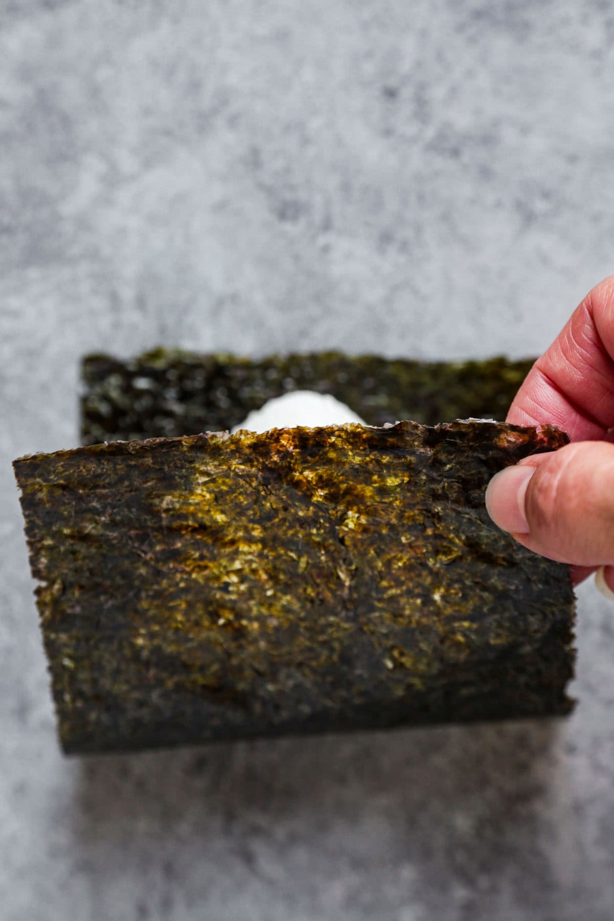 Rice and Nori